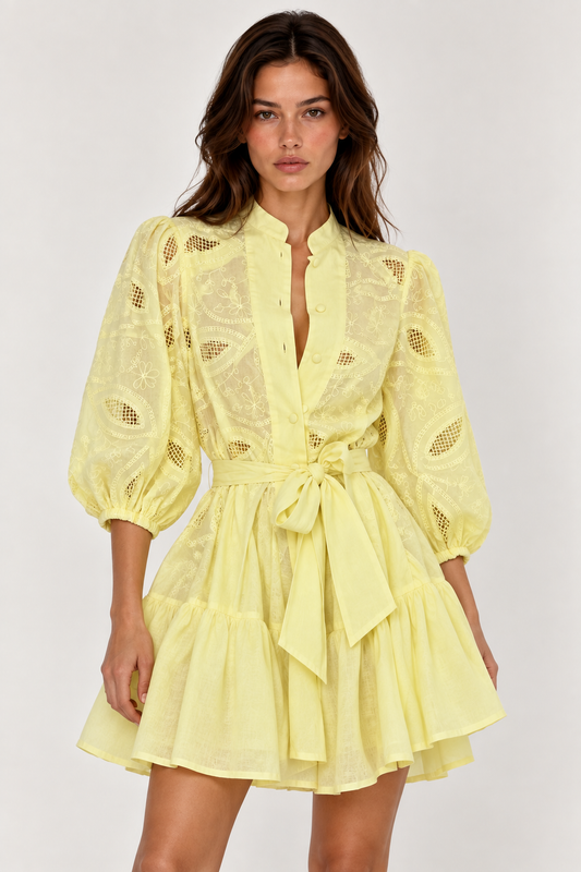 Valentina Embroidered Dress