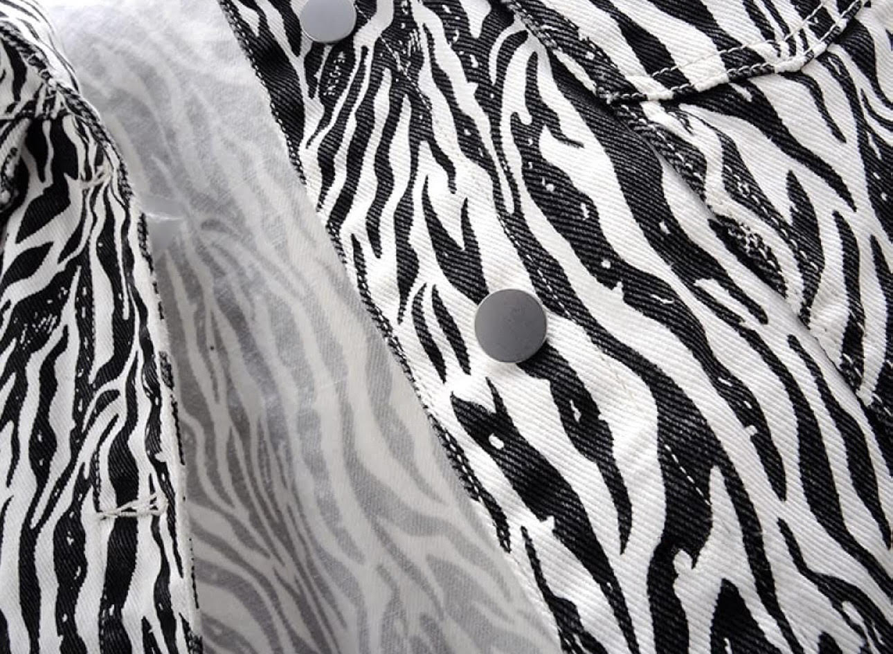 Zebra Fashion Jacket